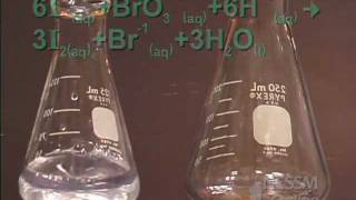 Bromate  Iodide Clock Reaction Lab [upl. by Ragucci]