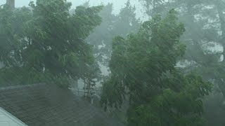 Heavy Rain and Wind Sounds For Sleeping  Relaxation  10 Hours [upl. by Uv942]