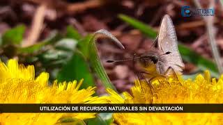 BIODIVERSIDAD DEL PERÚ [upl. by Ednew989]