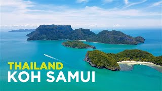 KOH SAMUI THAILAND  Ultimate Travel Guide  ALL Beaches JUNGLE amp ANG THONG [upl. by Glennis]