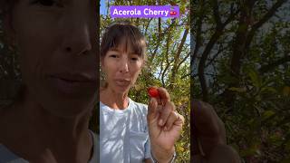 Acerola cherry my absolute favorite bc it tastes like the raspberries my Grandma Ivy grew🩷🍒 [upl. by Shaughnessy]