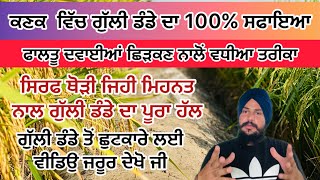 ਕਣਕ ਵਿੱਚ ਗੁੱਲੀ ਡੰਡੇ ਦਾ 100 ਸਫਾਇਆ ਸਿਰਫ ਇੱਕ ਛੋਟੇ ਜਿਹੇ ਕੰਮ ਨਾਲ  DBW 327 PBW 826 DBW 371 [upl. by Noied]