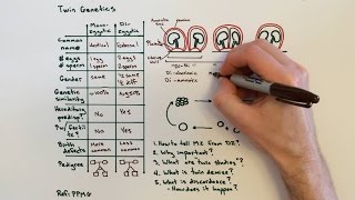 Twin Genetics and Types of Twins [upl. by Aiksa]