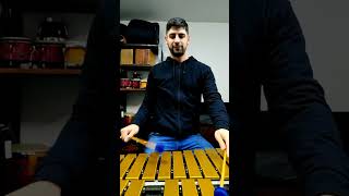 💃🏻 TANGO Vida Mía 😍🇦🇷🎉 tango vibraphone vidamia [upl. by Sims]