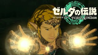 ゆゆうたの「ゼルダの伝説 ティアーズ オブ ザ キングダム」初見プレイ10【2024111819】 [upl. by Ariew]