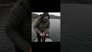 Smallmouth Coughs Up Live Shad Gross fallbassfishing basstournament winterbassfishing [upl. by Emmye]