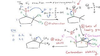 E1 Reaction with Rearrangement [upl. by Junna748]