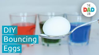 How to Make Bouncy Egg Science Experiment [upl. by Lissak]