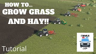 How to Grow Grass and Hay in Farming Simulator 19 [upl. by Hcirteid201]