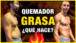 ¿Cómo FUNCIONAN LOS QUEMADORES de GRASA Explicado [upl. by Itsirc945]