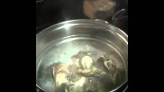 Steamed Oysters [upl. by Llirred]