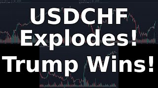 USDCHF Chart Analysis  Trump Wins ReElection USDCHF Explodes  November 12 2024 [upl. by Samul]