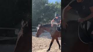 Première fois en cordelette equitation equestrian viralshorts cheval liberté drole horse [upl. by Lenahs]