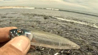 PESCA de PARGOS en PLAYA con señuelos SUPERFICIALES [upl. by Kcor]