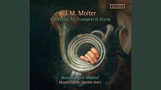 Trumpet Concerto No 3 in D Major MWV 411 I Allegro [upl. by Atwater]