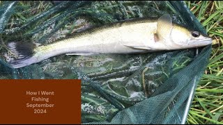 How I Went Fishing September 2024 New PB Zander [upl. by Ignace]