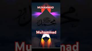 Love Propeht Muhammad 🤲 viralvideo foryou [upl. by Nohsav]