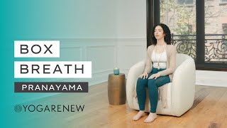 Box Breathing Pranayama  Square Breath  Breathing techniques ✨ [upl. by Laufer]