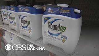 Jury finds Monsantos Roundup weed killer contributed to mans cancer [upl. by Adnarram]