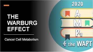 THE WARBURG EFFECT Normal Metabolism VS Cancer Metabolism [upl. by Mariquilla]