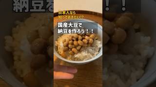 国産大豆で納豆づくり！youtubeshortsnatto納豆レシピ [upl. by Ahsial]