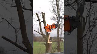 Der Woodcracker CS750 smart im Einsatz 🙌🏽🤝🏽 trending viral youtubeshorts foryou baumdienst [upl. by Netloc]