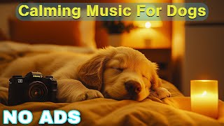 12 Hours of Healing Dog Music 🐶 Soothing Music for Deep Relaxation 🐕 Anti  Anxiety Videos No Ads [upl. by Ahsemal]