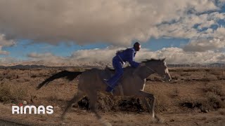 BAD BUNNY  NADIE SABE Visualizer  nadie sabe lo que va a pasar mañana [upl. by Muire]