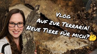 Vlog Auf zur Terraria Neue Tiere für mich [upl. by Padget]