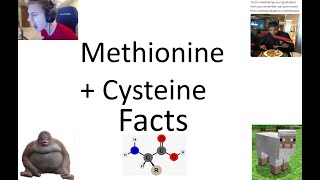 Some Quick Facts About Methionine and Cysteine [upl. by Nyrok]