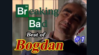 Bogdan Wolynetz  Breaking Bad Ultimate Compilations 1 [upl. by Franklin929]