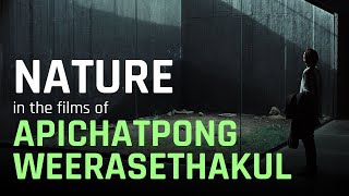 Nature In the Films of Apichatpong Weerasethakul  A Video Essay [upl. by Hengel]