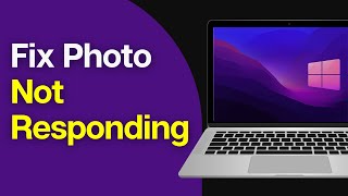 How to Fix Windows photo not responding [upl. by Nicodemus734]