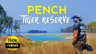 Pench Tiger Reserve Safari  Turia Gate  Vann Life  4K Video Hindi  हिन्दी [upl. by Enomyar]