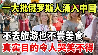 一大批俄罗斯人涌入中国！不去旅游也不尝美食，真实目的让人哭笑不得！ [upl. by Mat]