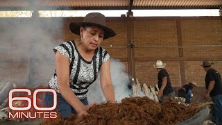 Mezcal producers preserve traditional methods as demand for liquor grows  60 Minutes [upl. by Sahcnip]