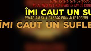 Bosquito  Suflet nou  Official Lyric Video [upl. by Rebmeced]