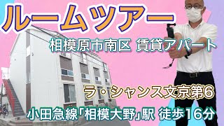 ルームツアー 賃貸 相模原市南区 ラ・シャンス文京第6 102号室 [upl. by Alesiram]