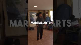 Do Capoeira Kicks Work in MMA [upl. by Yur]