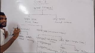 Tissue of Our PlantsBiologyAmrit Academy ByAmritesh Sir [upl. by Klayman]