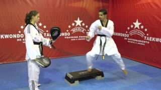 PRESENTACION DEL PROGRAMA MUNDIAL DE ENTRENAMIENTO DE TAEKWONDO [upl. by Kristi162]