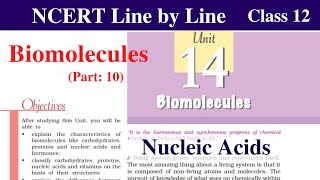 Biomolecules Class 12 Chemistry  nucleic acids biomolecules class 12  ncert chemistry class 12 [upl. by Otecina972]