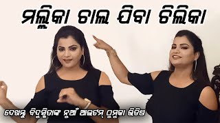 Malika Chal Jiba Chilika New Item Song  Bidusmita Dash  Mal Mahu Jiban Mati  Odia Prime Khabar [upl. by Renell]