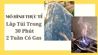 Mô Hình Thực Tế Túi Biogas 6 Khối 8 Khối [upl. by Bodkin290]