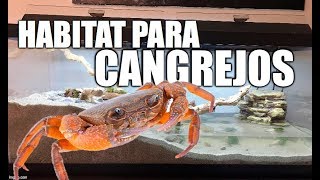 habitat para cangrejos [upl. by Fitzger979]