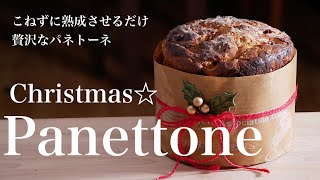 （タッパで作る）料理研究家のおすすめ「パネトーネ」こねずに長時間熟成で本格的（English subtitle [upl. by Noraf]