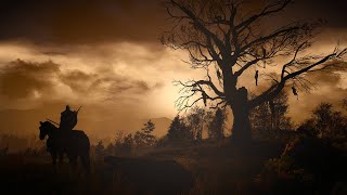 The Witcher 3 Wild Hunt 6 FR PS5 No Commentary [upl. by Ahsieki262]