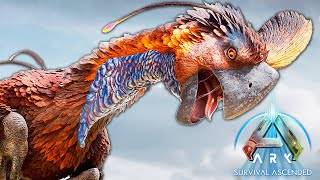 POLYNEWS  GIGANTORAPTOR DETALHES DO LOVE EVOLVED E SUPER EVO  ARK ASCENDED [upl. by Airegin]