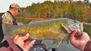 Smallmouth Fishing in North Carolina Lake James [upl. by Nhguav117]