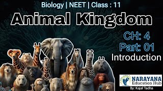 Animal Kingdom Class 11 Biology CH4 NCERT  Classification Of Animals Animated Video3D English L1 [upl. by Capone]